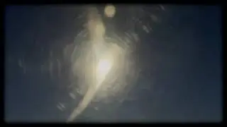 Project NT - Боги