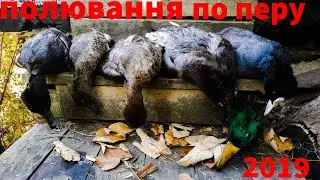 Полювання на качку 2019.Івачів.