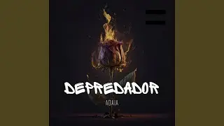 Depredador