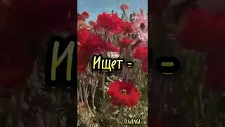 Доброе утро!!!☀️