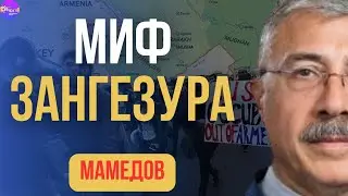 ⚡Мамедов | МИФ ЗАНГЕЗУРА