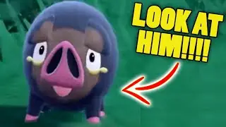 POKEMON SCARLET VIOLET Trailer Reaction - legendary Pokemon first look NEW POKEMON