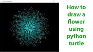 Python Flower Drawing Tutorial: Creating Stunning Floral Art with Turtle Graphics