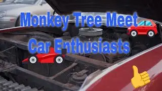 Monkey Tree Meet - Car Meet shot with BMPCC 6K Pro