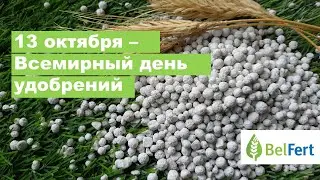 Belfert отмечает Всемирный день удобрений