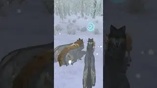 Wolf vs Wolf
