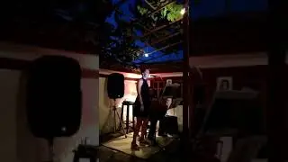 Chat-Mikrophone et Accordéon /Котка, Микрофон и Акордеон