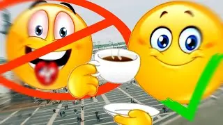 КАК ВЫЖИТЬ В ПИТЕРЕ И не СТОРЧАТЬСЯ