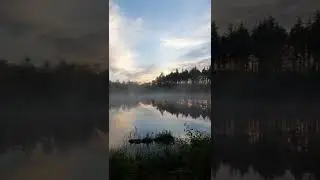 обрывки воспоминаний в 