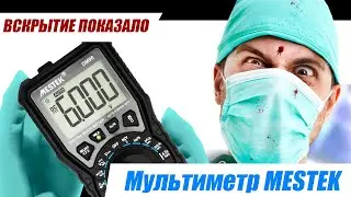 Mestek DM90A Multimeter: What's Inside / HOORAY, DISASSEMBLY!!