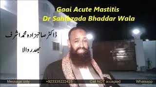 Gaai Acute Mastitis Dr Sahibzada Bhaddar Wala