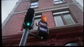 Garfield, get down from there