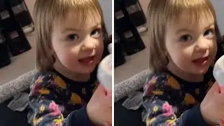 Toddler has hilarious response to what's mommy's & daddy's name 