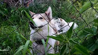 С утра до вечера