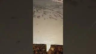 Хоровод снежинок на дворцовом мосту