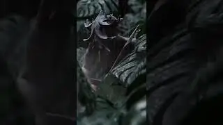 Tracking