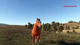 🔴[MSFS] 🐎 Ранчо в Microsoft Flight Simulator!👍