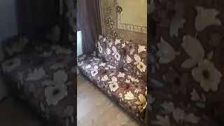 Алла транс купили с Аней