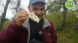 What my husband ate when he was going towards his goal