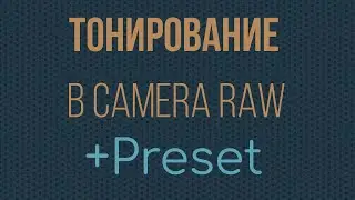 Тонирование в Camera Raw + Preset