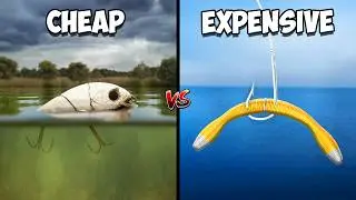 Cheap vs Expensive Fishing Challenge