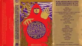 Blind Arcade Meets Super Weird Substance (Feat Howard Marks) - Universal Prayer