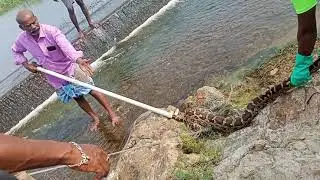 Anaconda rescue 🚒🚒🚒🚓video 😱😱😱🚒🚒🚒