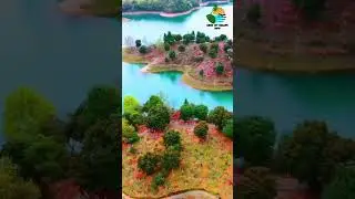 THE WORLD IS A BOOK AND THOSE WHO DO NOT TRAVEL READ ONLY A PAGE ” #trending #shortvideo #viral