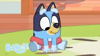 Tiempo en familia Heeler | Episodios completos | Bluey 💙 Español Canal Oficial 🇪🇸