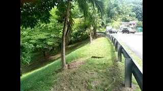 SOLD -14,835 square feet of land for sale in St George's Grenada