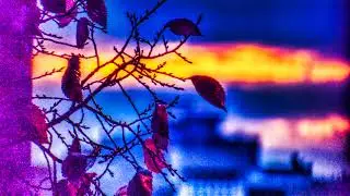 Live 13/03/2022 02:01