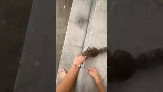 Сюрприз от белки 🐿️