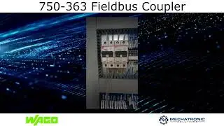 Wago Fieldbus Coupler