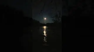 Ночной шум Катуни в полнолуние.