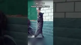 Вот она! Рыба моей мечты!