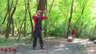 5 лучших ловушек для выживания