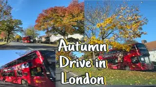 Autumn Drive in London  November 2023 |Beautiful scenery in London |london city drive uk England