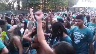 Banda Classic no St Patrick's day - Wake Me Up