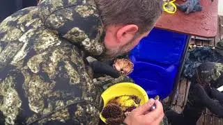 Чанаккале - Лемнос - Скирос