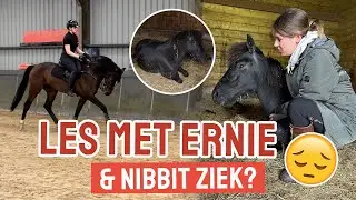 Nibbit ziek? & 1e les met Ernie! || Vlog #314