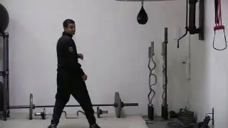 Coach Dan Isaac wheel kick