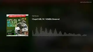 Wildlife Removal in Chapel Hill NC