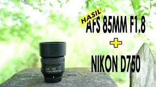 NIKON BOKEH LENS | AFS 85MM F1.8G INDONESIA