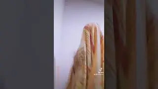 jeje mi tiktok