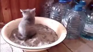 Срём лежа