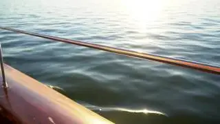 Seawolf Palate Cleanser