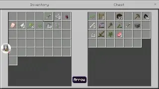 Minecraft SURVIVAL