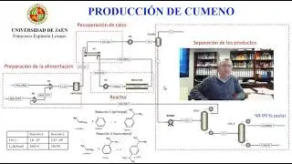 ASPEN PLUS Cumeno