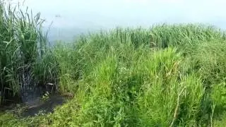 Озеро Сундукуль под Тюменью
