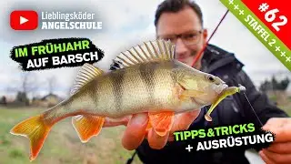 Barsche Angeln im Frühjahr – Tipps, Köder & Angelrute 🎣